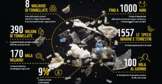 Copertina di “Superato il limite planetario di plastica”. Il report del Wwf nella Giornata dell’ambiente. Ecco perché puntare al riciclo non basta