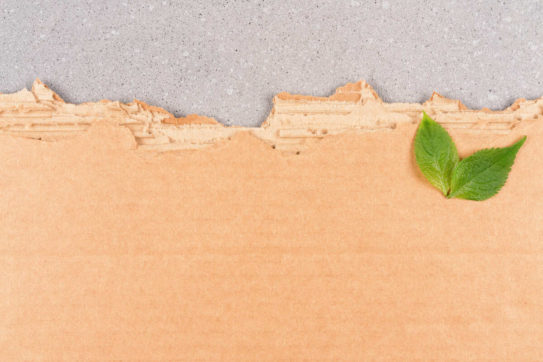 Il greenwashing è finito