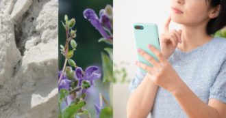 Copertina di Digital aging, la luce blu di smartphone e pc accelera l’invecchiamento della pelle: “Ultimo step della skincare deve essere una crema adatta”