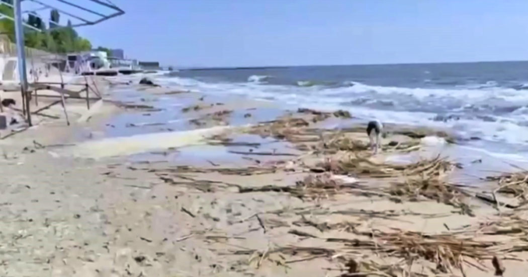 Esplosivi, carcasse di animali e automobili: il mare di Odessa è una discarica a cielo aperto – Video