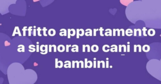 Copertina di “Affitto appartamento a signora. No cani, no bambini”: l’annuncio della proprietaria di casa scatena le polemiche