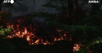 Copertina di Boschi a fuoco in Francia: distrutti almeno 30 ettari nella regione dei Vosgi – Video