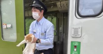 Copertina di Gatto si infila sul treno e causa 30 secondi di ritardo: in Giappone diventa un caso