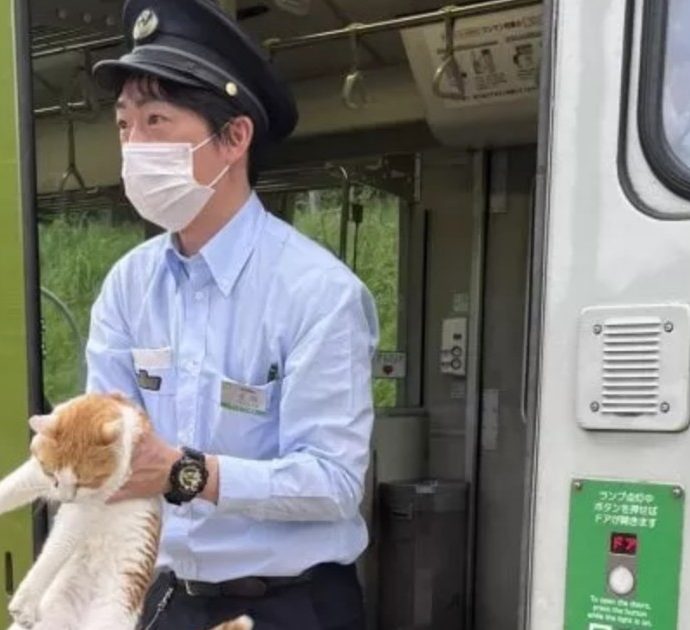 Gatto si infila sul treno e causa 30 secondi di ritardo: in Giappone diventa un caso