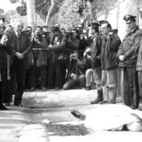 Omicidio di Salvo Lima 1992