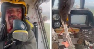 Copertina di Uccello gigante si schianta contro il parabrezza dell’aereo e rimane incastrato a penzoloni: il pilota reagisce così – VIDEO
