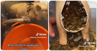 Copertina di Papà apre il salvadanaio a forma di maialino e posta il video su TikTok: “Indovinate quanto c’era dentro?”