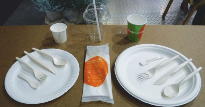 Tornano i piatti di plastica: dichiarati riutilizzabili e riciclabili. Ma  solo in teoria - Il Fatto Quotidiano