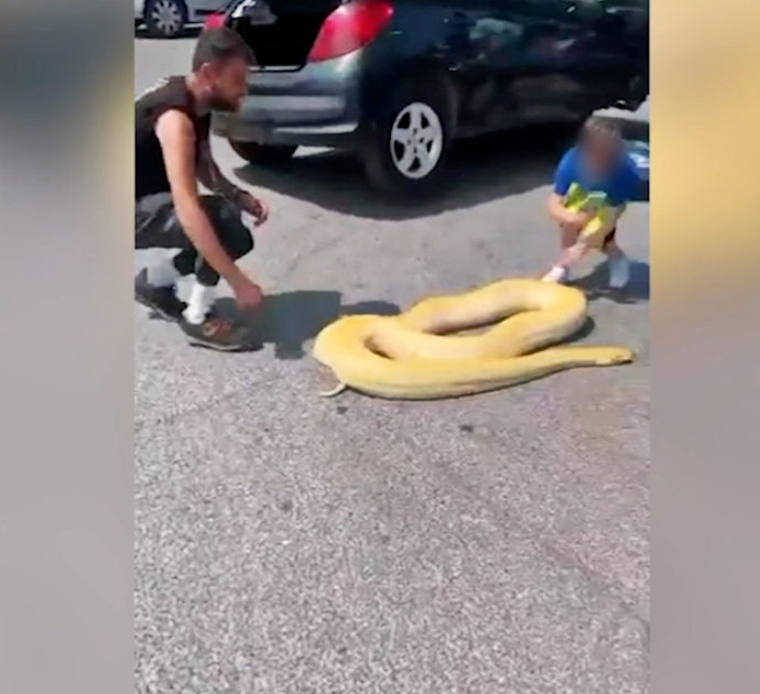 Pitone gira tra le strade di Roma, le persone (tra cui un bambino) lo accarezzano come se niente fosse