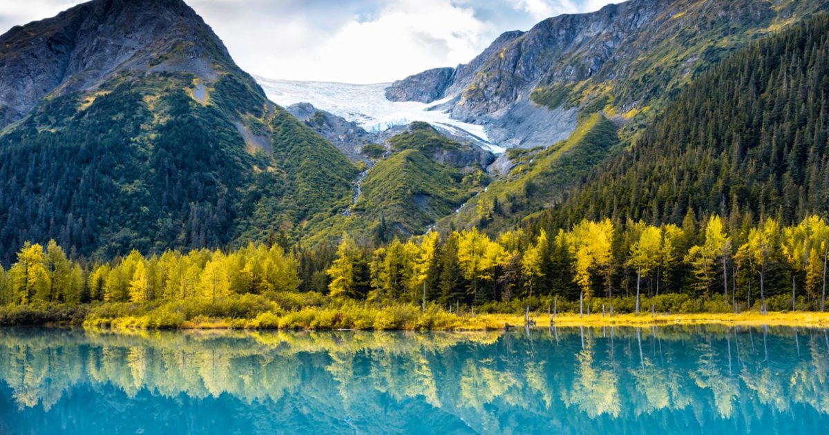 Alaska e Canada, ritorno alle terre selvagge