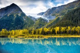 Copertina di Alaska e Canada, ritorno alle terre selvagge