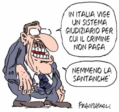 Copertina di La vignetta di Franzaroli