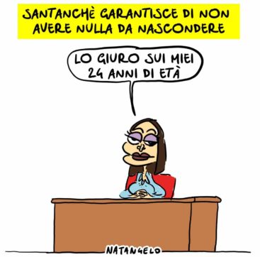 Copertina di La vignetta di Natangelo