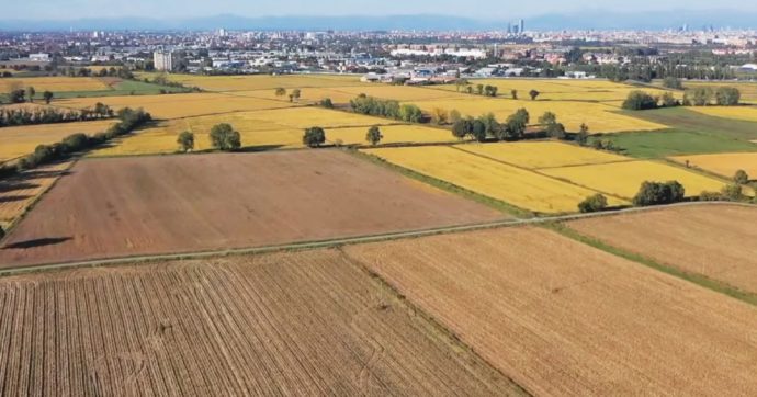 Milano, “regalo” da 15mln per stravolgere il Parco sud