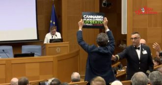 Copertina di Magi contesta Meloni al convegno sulle droghe e la interrompe mostrando un cartello antiproibizionista: “Luoghi comuni e fake news”