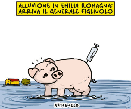 Copertina di La vignetta di Natangelo