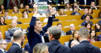 Copertina di Droga, il “contestatore” Magi: “Questa destra ipocrita e ideologica”