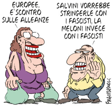 Copertina di La vignetta di Franzaroli