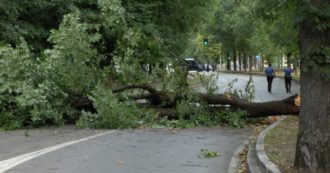 Copertina di Milano, forti raffiche di vento in città nel tardo pomeriggio di mercoledì 5 luglio. Molti alberi sono caduti in diverse zone (video)