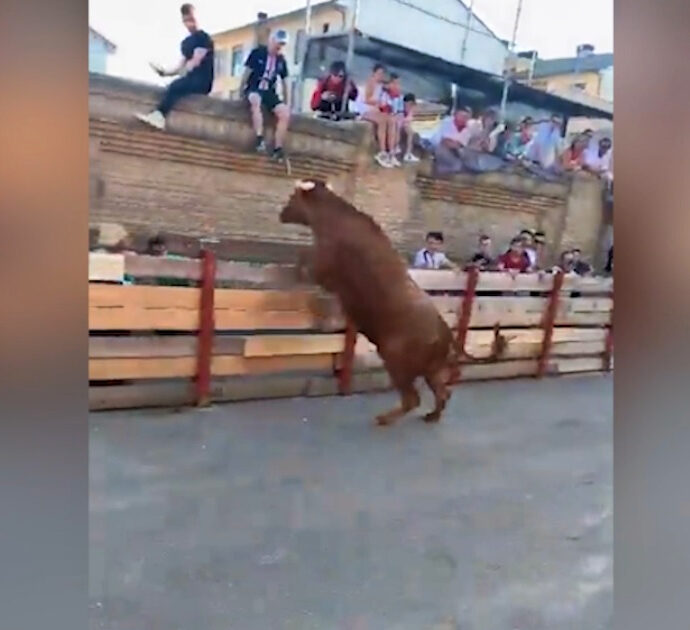Terrorizzano il toro durante la tradizionale festa per le strade del paese. Ma lui si vendica così