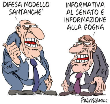 Copertina di La vignetta di Franzaroli