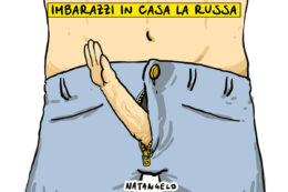 Copertina di La vignetta di Natangelo