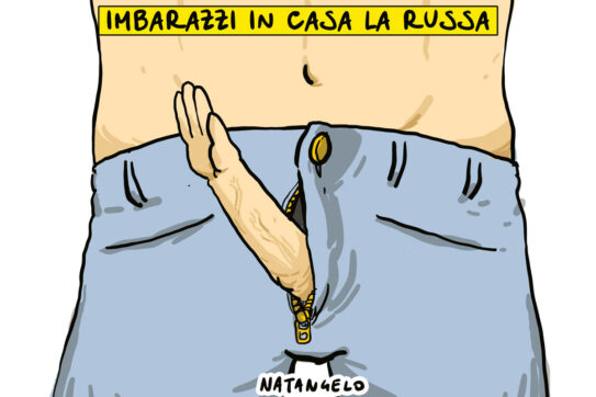 Copertina di La vignetta di Natangelo