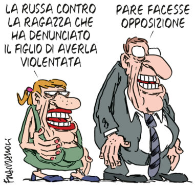 Copertina di La vignetta di Franzaroli