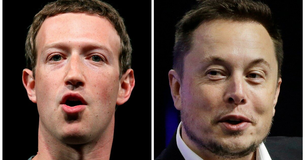 “Facciamo a gara a chi ha il pene più lungo”: la nuova sfida di Elon Musk a Mark Zuckerberg