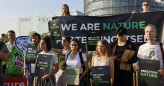Copertina di Parlamento Ue al bivio sul Green deal. Oggi il voto sulla legge per il ripristino della natura: prove di alleanza tra destra e Ppe per bocciarla