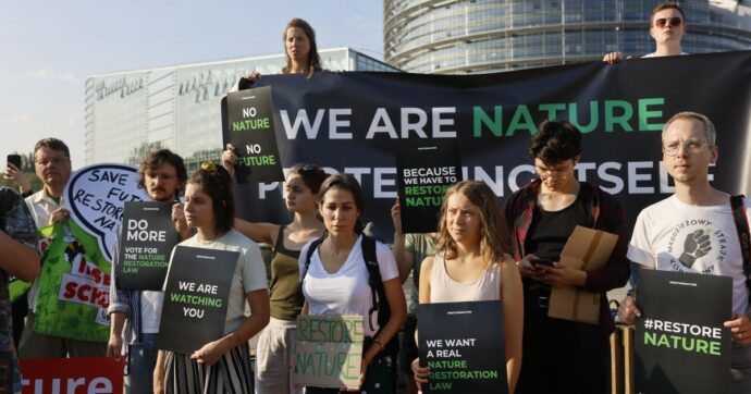 Parlamento Ue al bivio sul Green deal. Oggi il voto sulla legge per il ripristino della natura: prove di alleanza tra destra e Ppe per bocciarla