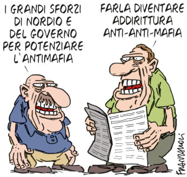 Copertina di La vignetta di Franzaroli