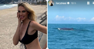 Copertina di Ilary Blasi ‘faccia a faccia’ con la balena durante la gita in barca: “È enorme” – VIDEO