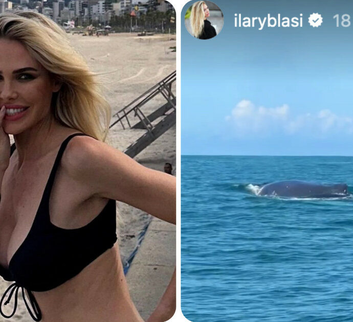 Ilary Blasi ‘faccia a faccia’ con la balena durante la gita in barca: “È enorme” – VIDEO