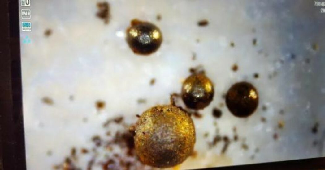 Studioso di Harvard annuncia di aver trovato la prova della vita extraterrestre sul fondo dell’Oceano Pacifico. E le autorità locali gli danno la caccia