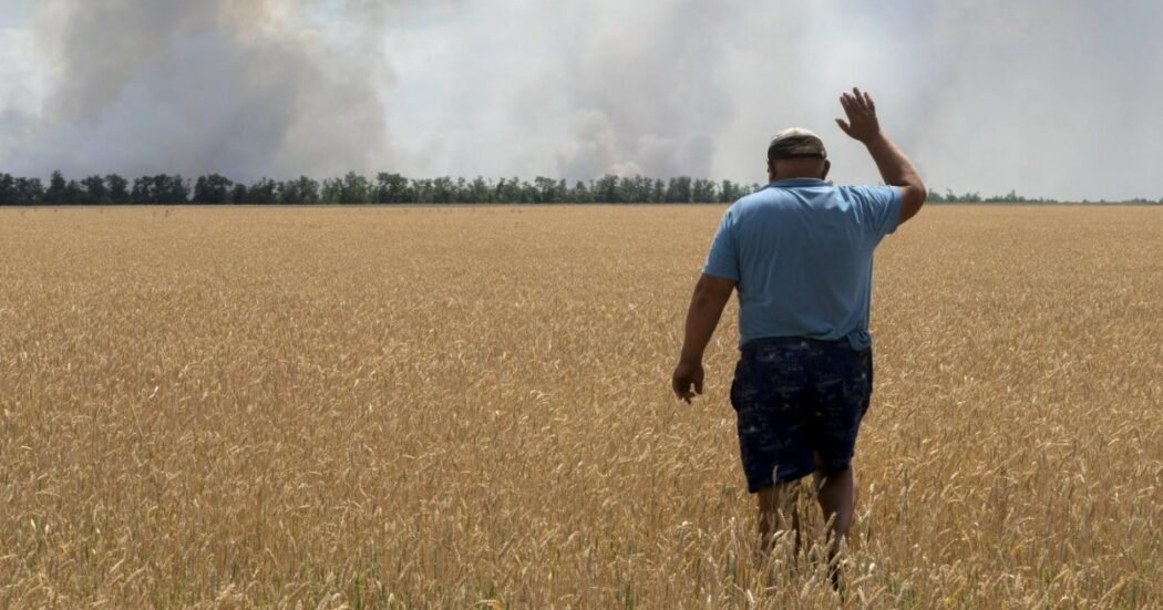 Scaduto l’accordo del grano scaduto, ma Mosca tace: cosa vuole la Russia e quali sono le conseguenze sull’Africa