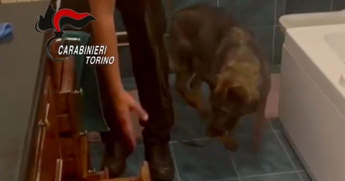 Copertina di Torino, le ‘ndrine nel bar del Tribunale