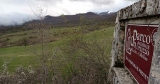 Copertina di Tagli dei confini e del personale: la crociata della politica contro i Parchi