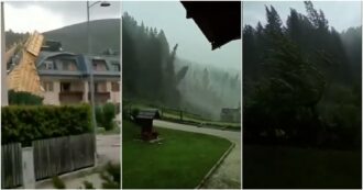 Copertina di Forti raffiche di vento in Veneto e in Alto Adige, tetti scoperchiati e boschi distrutti: il disastro in presa diretta (video)
