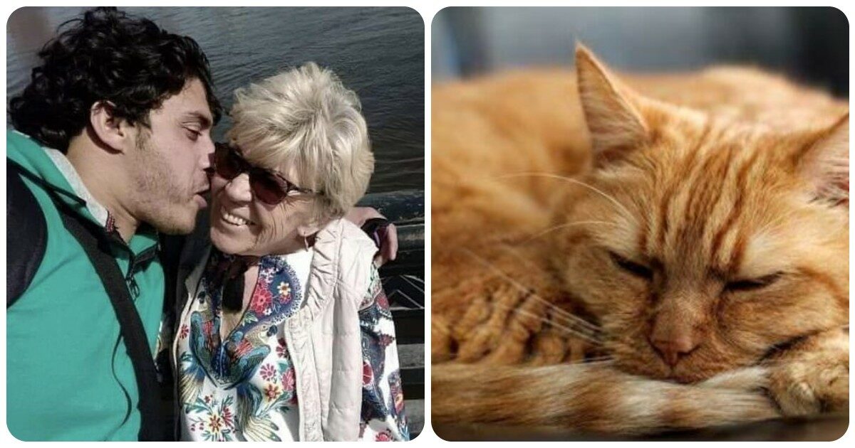 83enne divorzia dal toyboy 27enne dopo due anni di matrimonio: “Sto meglio con il mio gatto, non si lamenta mai”