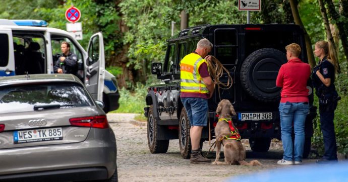 Panico a Berlino: c’è un leone in giro. Tutti chiusi in casa, ma era un cinghiale