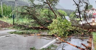 Copertina di Crisi climatica, grandine e tempesta a Ravenna e Ferrara: almeno 17 feriti e danni. Black out e paesi isolati nell’Alto Cremasco