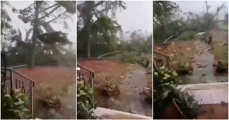 Copertina di “Oddio, crolla tutto”: la furia del vento abbatte gli alberi e scoperchia i tetti ad Alfonsine, il video girato durante la tempesta