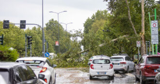 Copertina di Crisi climatica: nubifragi a Milano e in Brianza, donna muore travolta da un albero. Inagibile la stazione di Monza. A Olbia 47 °C, aerei deviati