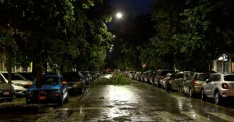 Copertina di Alberi caduti e dehors distrutti: danni a Milano dopo il violento nubifragio – Video