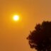 Copertina di Caldo record in tutto il mondo: record storico a Londra e allerte diffuse in Francia, 40 gradi in Vietnam