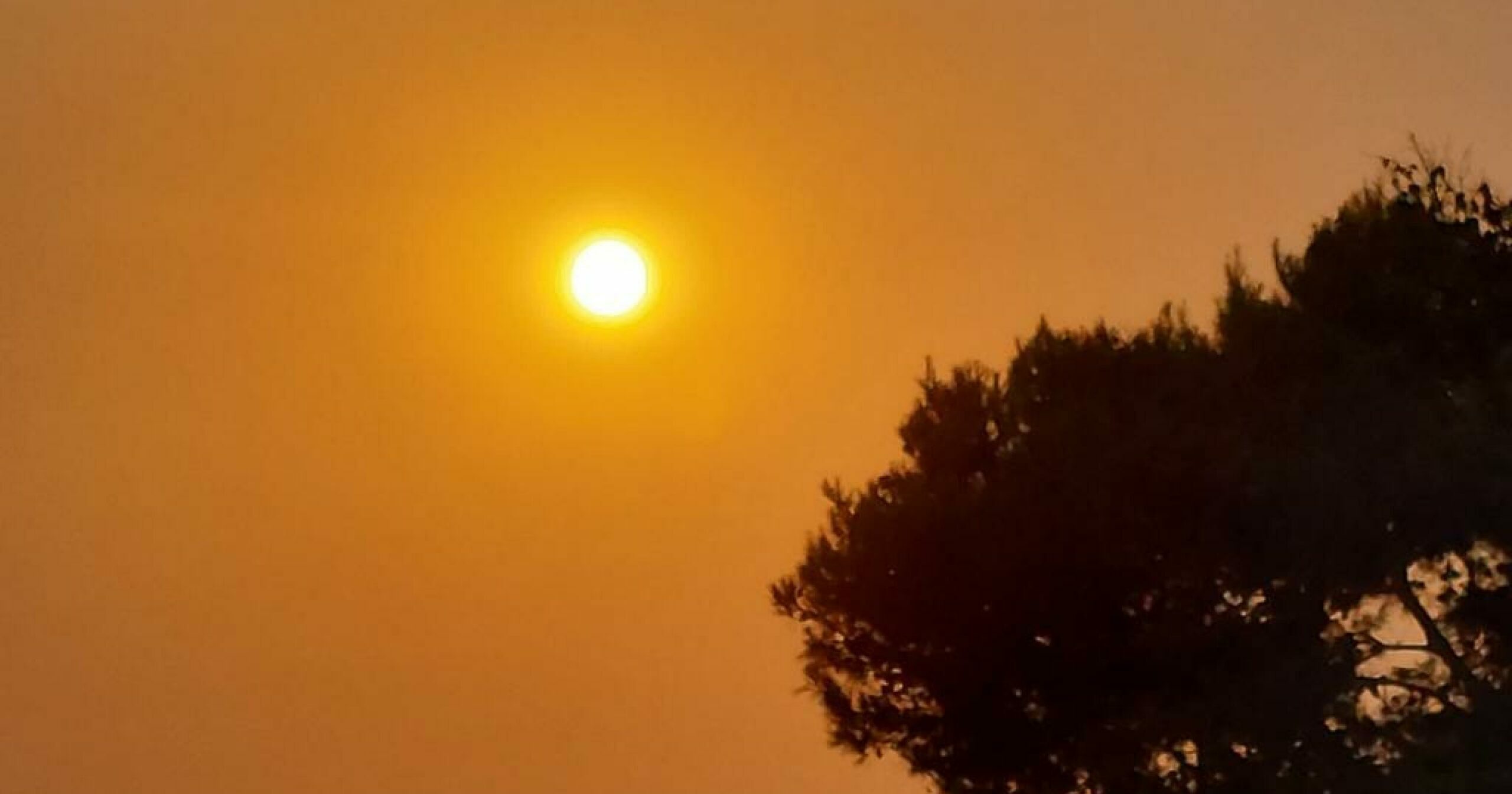 caldo record in tutto il mondo record storico a londra e allerte diffuse in francia 40 gradi in vietnam da Ilfattoquotidiano.it caldo record in tutto il mondo record storico a londra e allerte diffuse in francia 40 gradi in vietnam