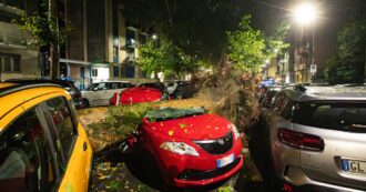 Copertina di Nubifragio a Milano: auto schiacciate dagli alberi, dehor divelti, rami bloccano le strade – FOTO