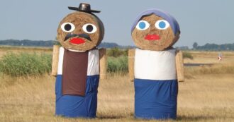 Copertina di Chi dice donna dice danno: viaggio a puntate nella lingua che discrimina