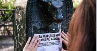 Copertina di Nuova azione di Extinction Rebellion a Torino: “Una risposta a Giorgia Meloni che parla di maltempo”